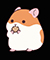 hamster