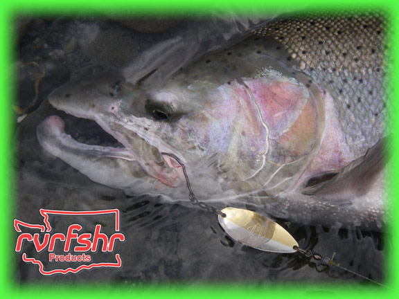 Our Best Lures for Steelhead Fishing in Rivers– Seattle Fishing Company