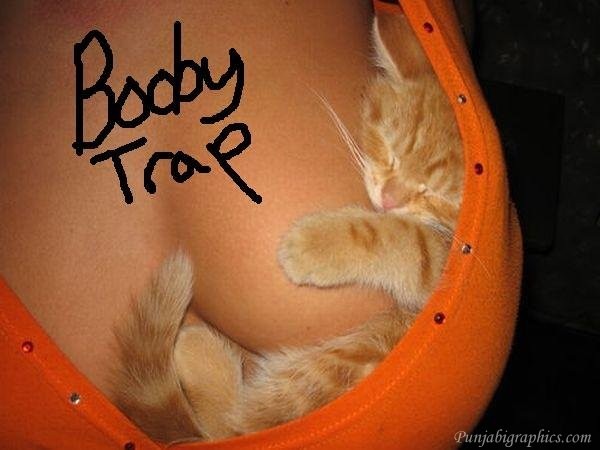 booby-trap.jpg
