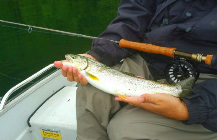 imagejpeg_0(1)_edit.jpg imagejpeg_0(1)_edit.jpg