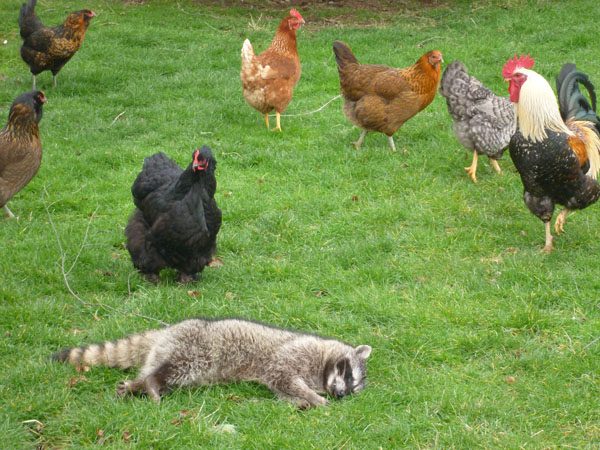 P1050755(1).jpg P1050755(1).jpg