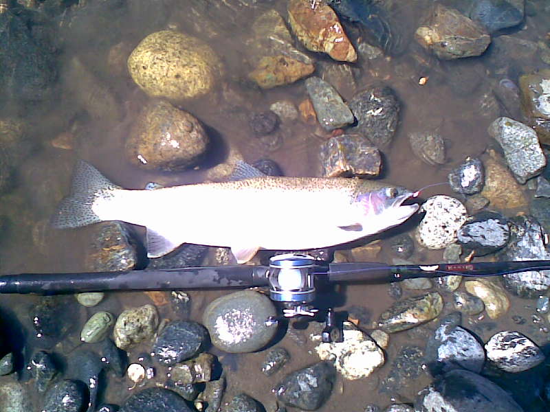 Image020.jpg Image020.jpg