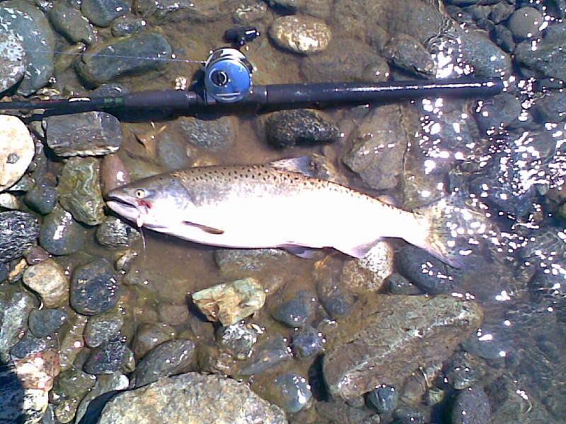 Image023.jpg Image023.jpg