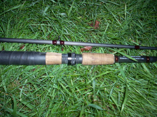 DSCN0553.JPG