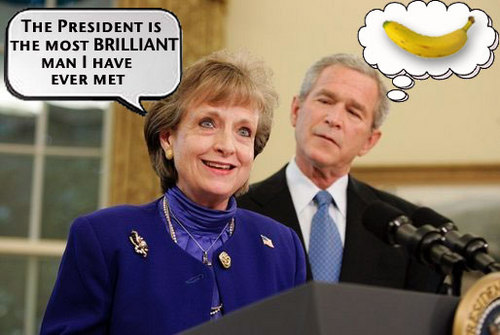 miers_bush_brilliant.jpg