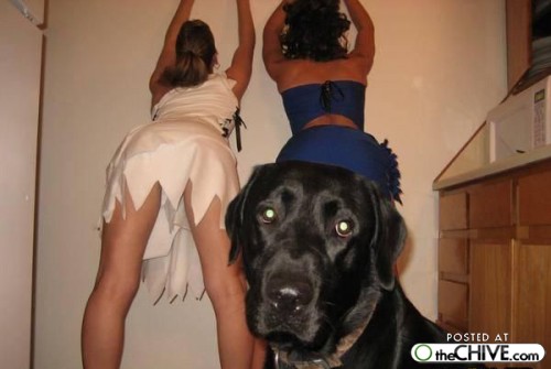 photo-bomb-fingers-7.DOG.jpg