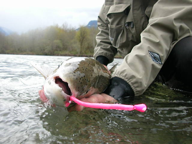 618-11555555cd.jpg