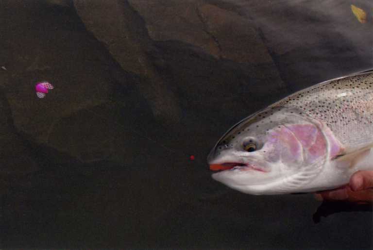 img035.jpg