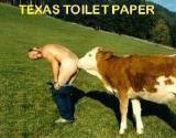 751-texas_toilet.jpg