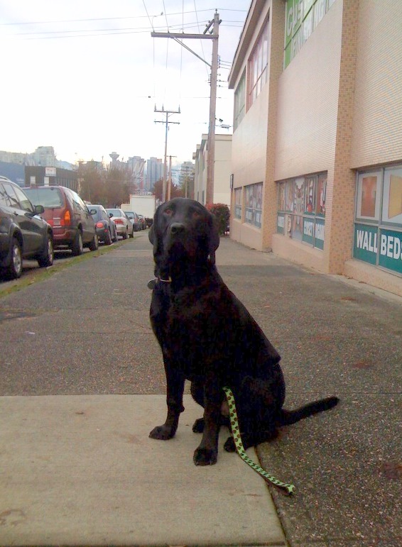 BorisVancouver.jpg BorisVancouver.jpg