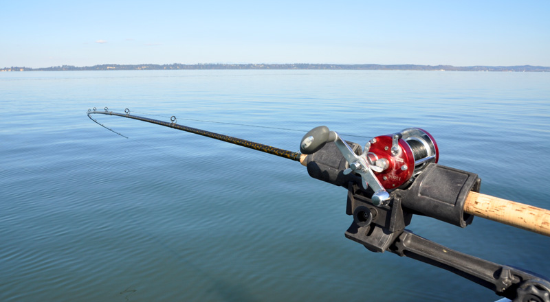 folbe rod holders for sale