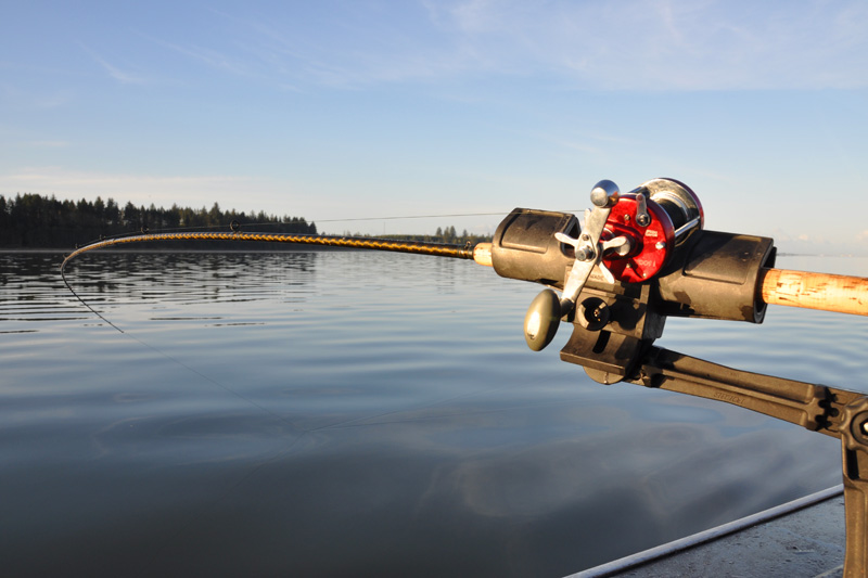 folbe rod holders for sale