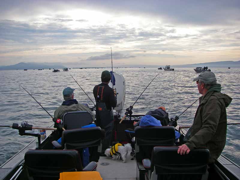 folbes rod holders