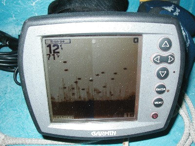 862-FishonDFatdark.JPG