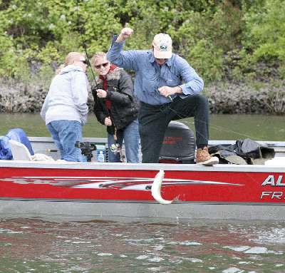 987-chickswithshad2.gif 987-chickswithshad2.gif