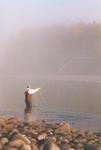 The joys of wading on boulders the size of beach balls! Bob plys the waters of the mighty Skeena River in British Columbia.