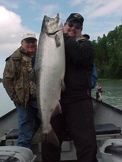 Late June often sees the arrival of some early second-run fish into the rivers ... here's one!