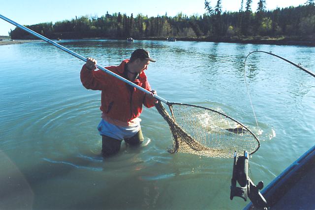 Time for the net!