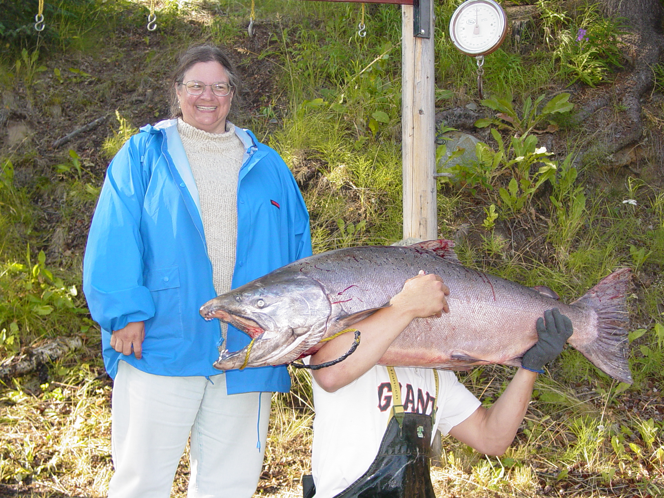 60+ pounds of Kenai River king salmon.