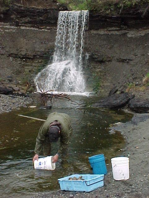 What finer place could you want for a place to rinse our clams and equipment!