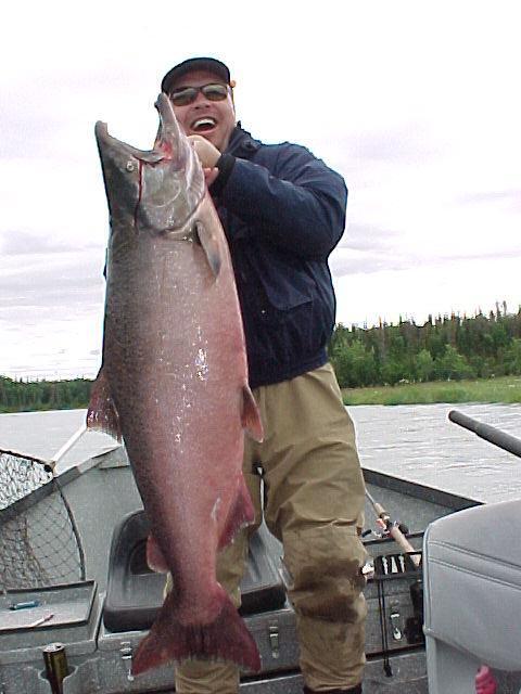 Okay, we told you Hawk had another pic in here. This time he finds his dream fish on a latter July Kasilof River float trip.