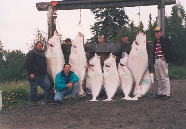 Capt. Bill & guests with a nice load of Deep Creek / Ninilchik halibut.