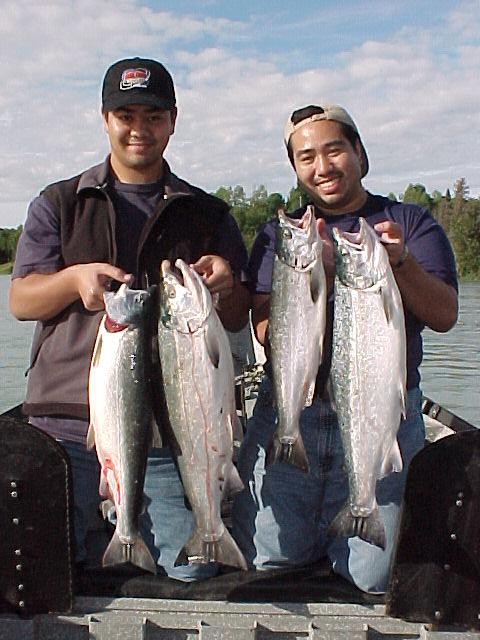 August sunshine and silvers.