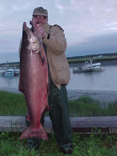 Another trophy-class Kasilof king taken in late July.