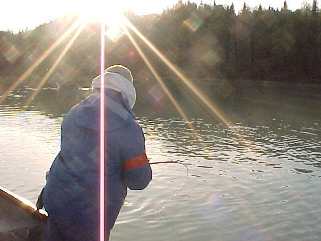 A fish dives for bottom, buckling the rod.