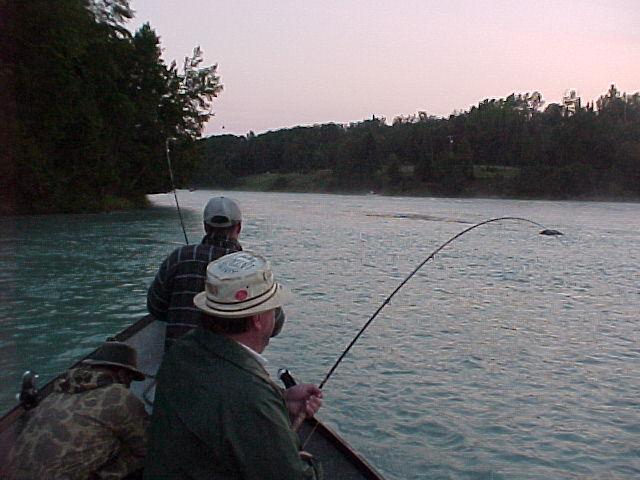 Anglers do their best to keep fish apart during a doubleheader.