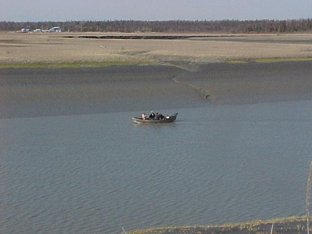 Almost to the mouth of the Kasilof, a drifter heads for the ramp.