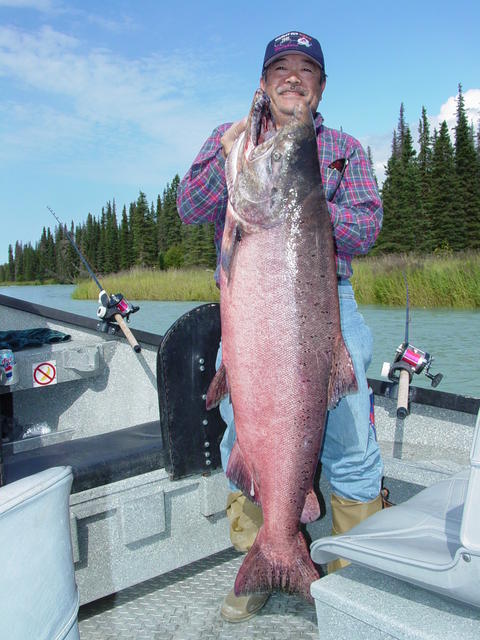 A face we see every year. Ken Takemoto with a magnificent Kasilof River king.