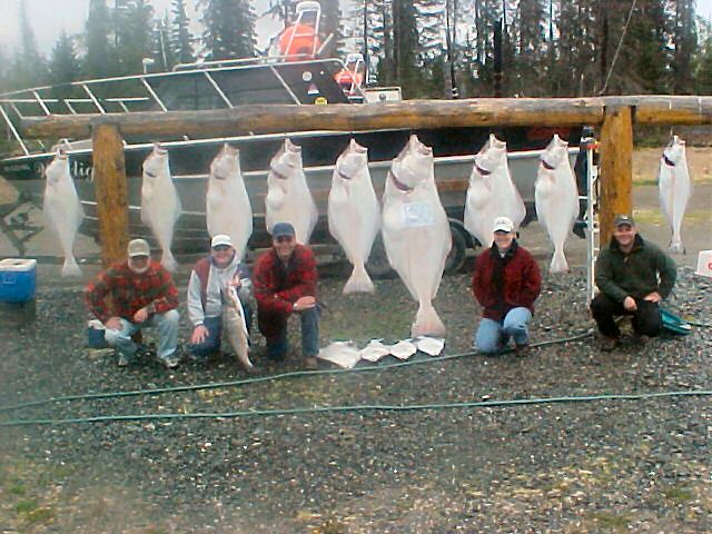 A typical day on the salt, fishing ranging from "chikens" to "Barn Doors".