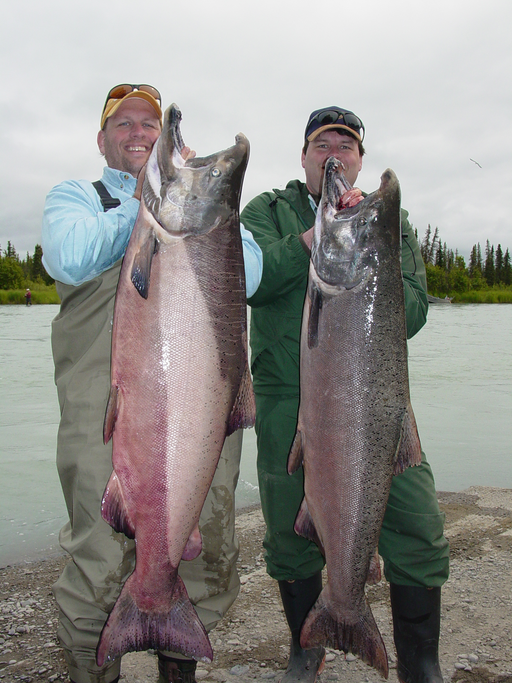 More every year guests, the Brandt brother with a pair of certified trophy Kasilof kings.