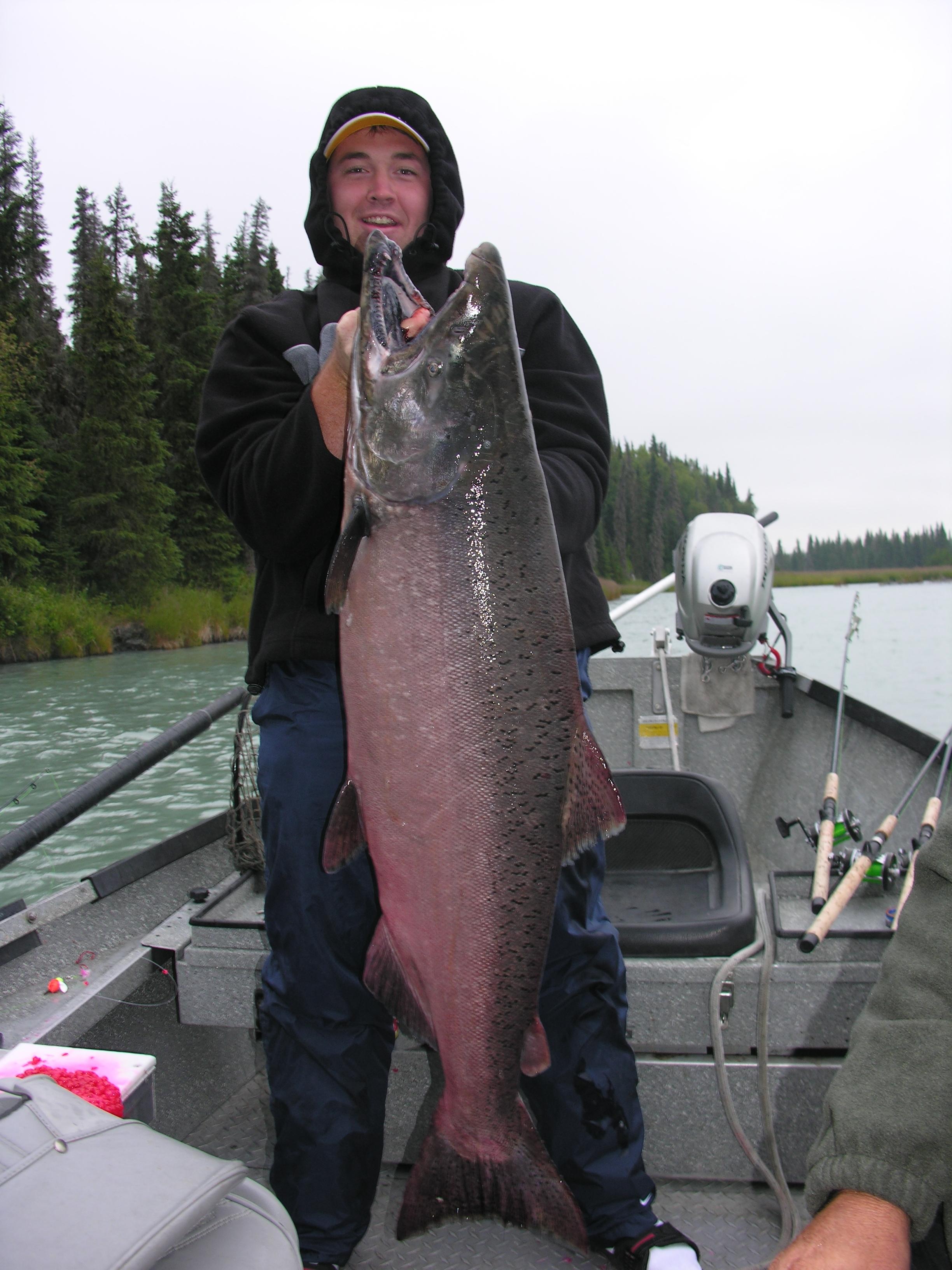 Jason Chancey with a certified Kasilof trophy chinook ... 56 pounds.