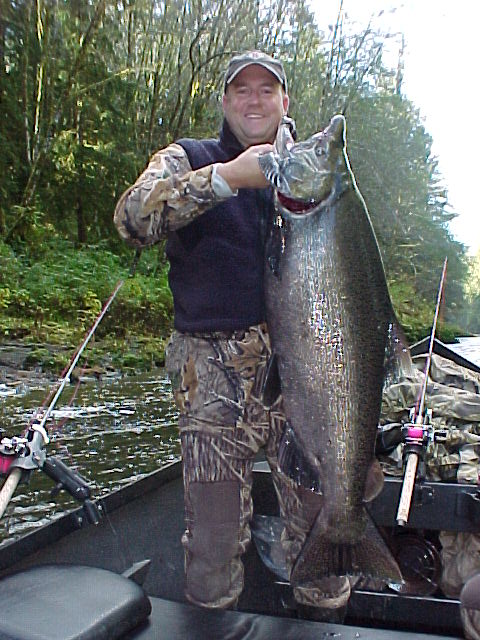 Hoh fall king salmon.
