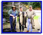 4xfish_1 (1)