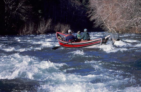 Lots of white water on these rivers. This in the upper Sol Duc.