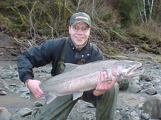 The Bogachiel puts out another jumbo buck steelhead.