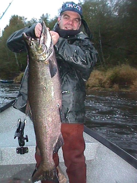 Quillayute fall king salmon.