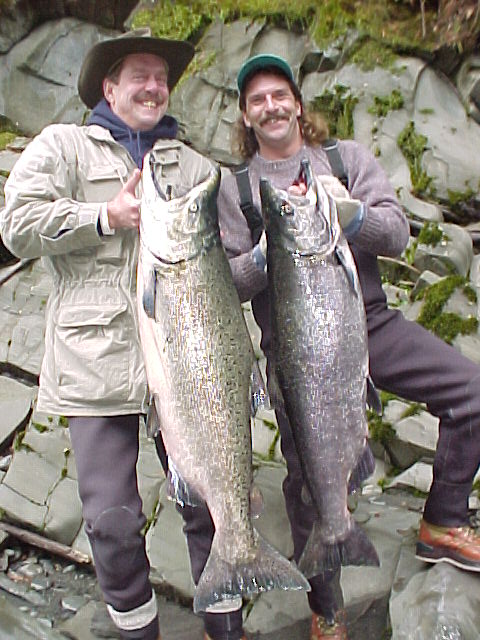 A pair of 40+ pound fall kings.