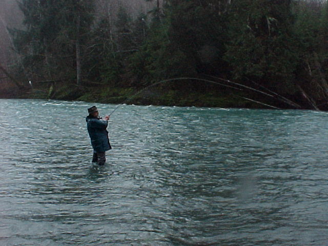 Fishing the riffles of the upper Hoh.