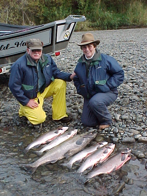 A load of fall salmon.