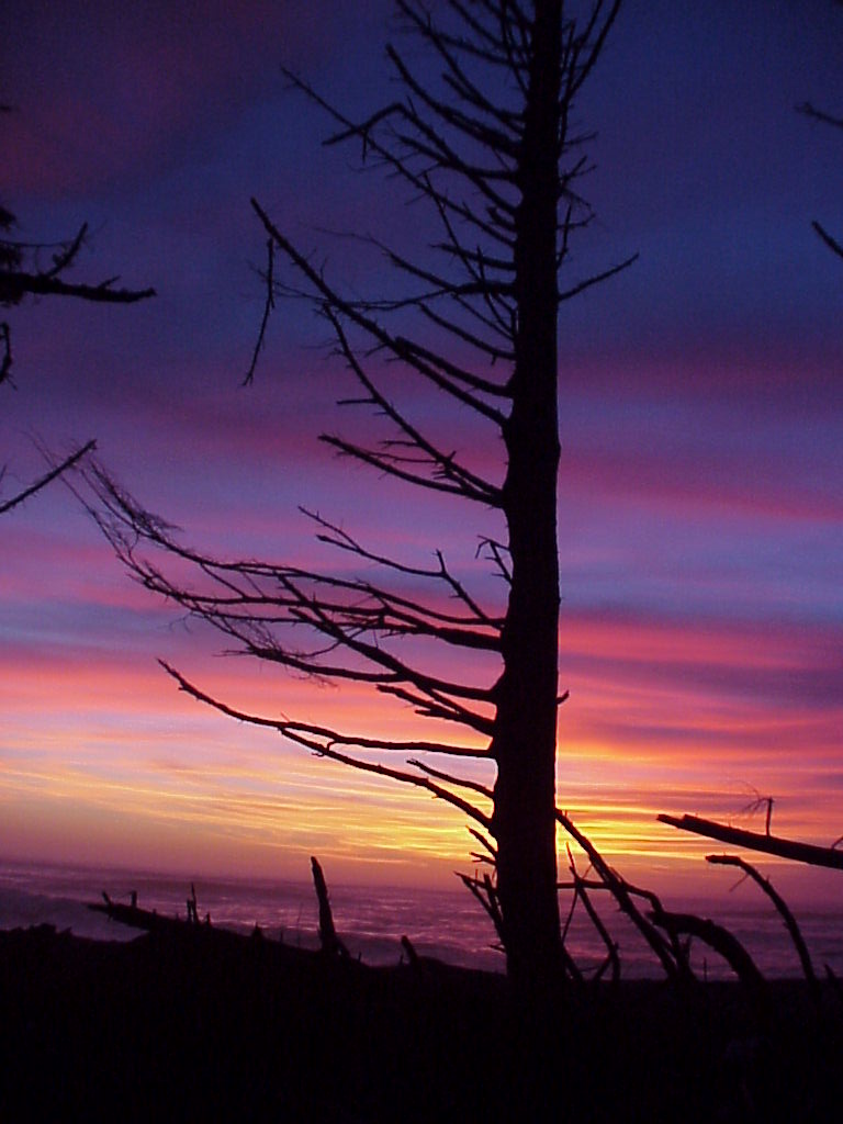 December sunset over Rialto Beach at the mouth of the Quillayute River.