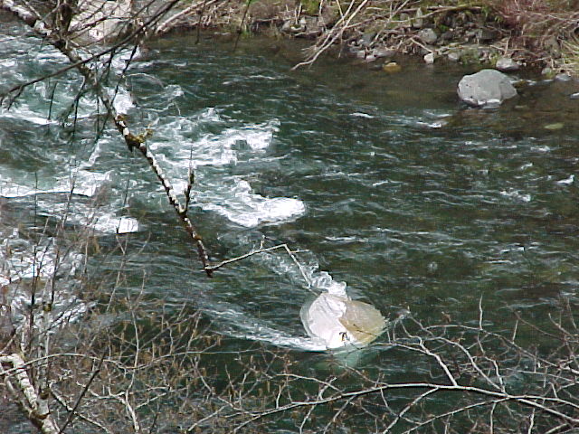 Double Rapids in the Sol Duc is the site of this mishap for an unlucky boater.