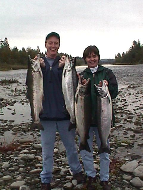 Fall silvers from the Quillayute River.