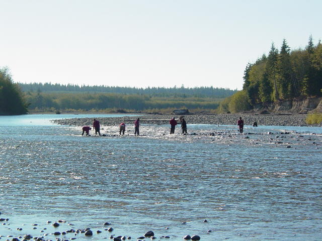 Olympic Corrections Center inmates dig out trenches for salmon to pass through during record low water, fall of 2002.