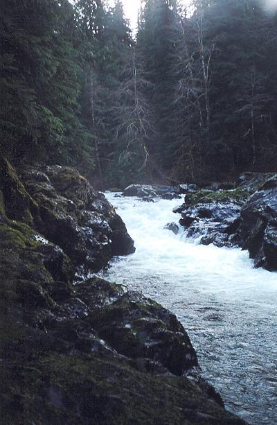 A look at the Salmon Cascades on the upper Sol Duc. During much of the year, salmon / steelhead can be viewed jumping the falls.