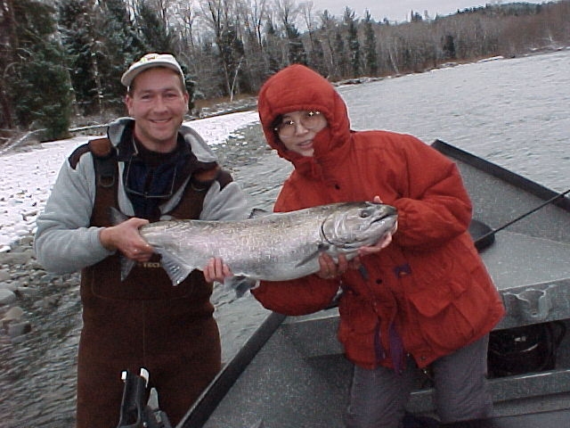 A Christmas surprise ... a late fall king salmon on Christmas eve.