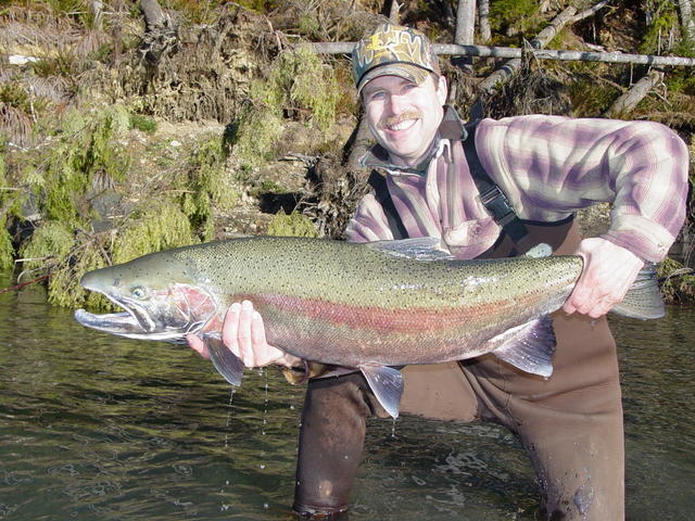 This is what OP steelhead dreams are made of!